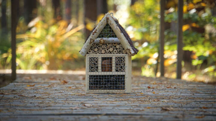 Insektenhotel mit Reisigdach